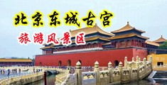 抽插动态啊不行了操死我好爽啊还想要视频中国北京-东城古宫旅游风景区